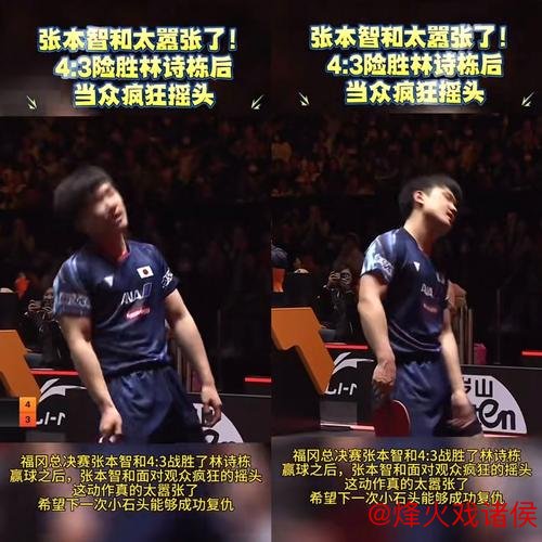 国乒洛杉矶奥运最大隐患,非张本智和,而是“内部”的算计 国乒洛杉矶奥运最大隐患,非张本智和,而是“内部”的算计